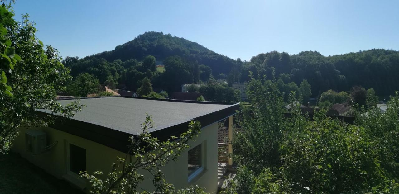Apartments Ina Rogaška Slatina Chambre photo
