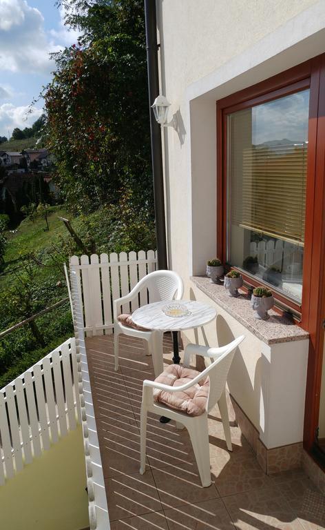 Apartments Ina Rogaška Slatina Extérieur photo