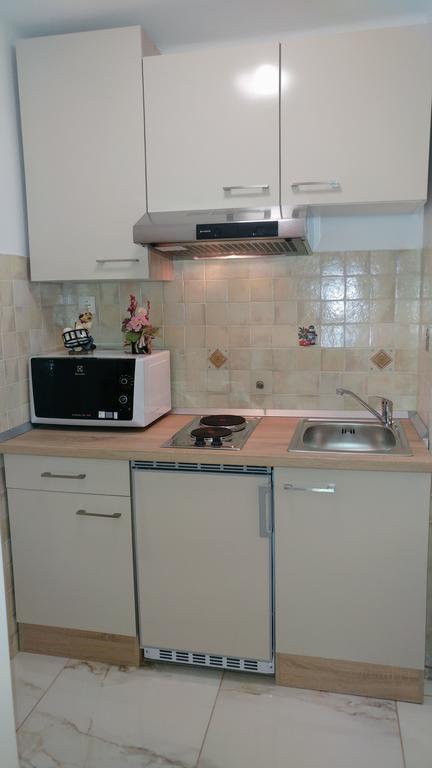 Apartments Ina Rogaška Slatina Extérieur photo